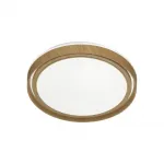 Настенно-потолочный светильник Сонекс BASICA SN 116 7640/EL LED 70Вт 3000-6000K D490 IP43 пульт ДУ от ImperiumLoft