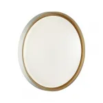 Настенно-потолочный светильник Сонекс COLOR SN 104 7645/DL LED 48Вт 4000К D415 IP43 KISIL Белый от ImperiumLoft