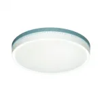 Настенно-потолочный светильник Сонекс COLOR SN 98 7669/EL LED 70Вт 3000-6000К D500 IP43 пульт ДУ NOHAVA BLUE от ImperiumLoft