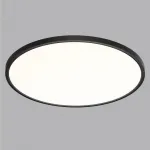 Настенно-потолочный светильник Сонекс MITRA LED SN 54 7660/48L LED 48Вт 3000/4000K D600 IP40 ALFA BLACK
