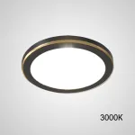 Точечный светодиодный светильник HEIN D10 Black 3000К