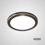 Точечный светодиодный светильник HEIN D10 Black 4000К