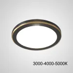 Точечный светодиодный светильник HEIN D10 Black Трехцветный свет