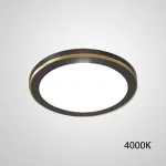 Точечный светодиодный светильник HEIN D12 Black 4000К
