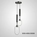 Подвесной светильник RING DUO B Black Трехцветный свет от ImperiumLoft