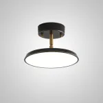 Потолочный светильник BIRK D12 Black