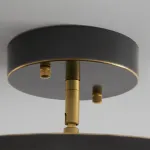 Потолочный светильник BIRK D12 Black