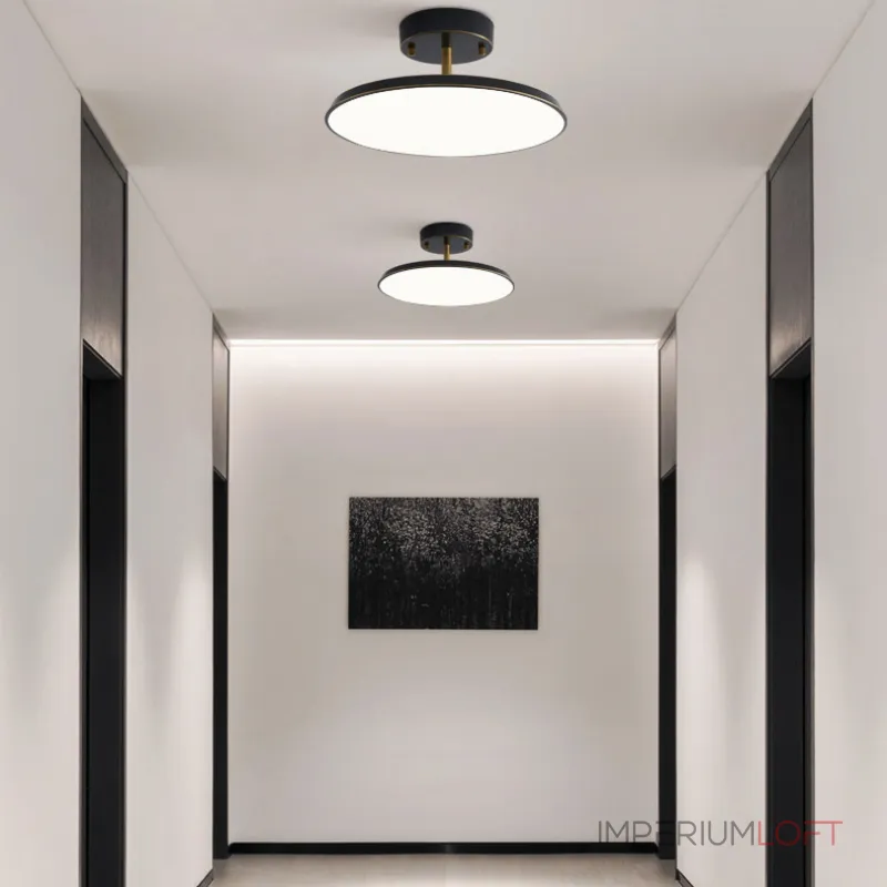 Потолочный светильник BIRK D12 Black