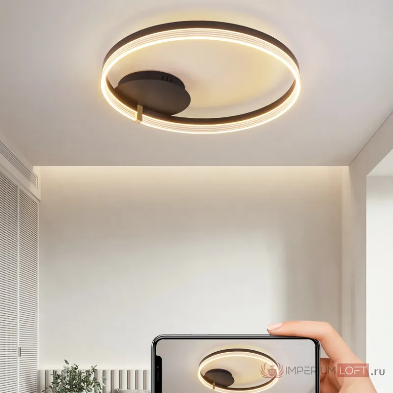 Потолочный светильник ALMER CH D40 от ImperiumLoft