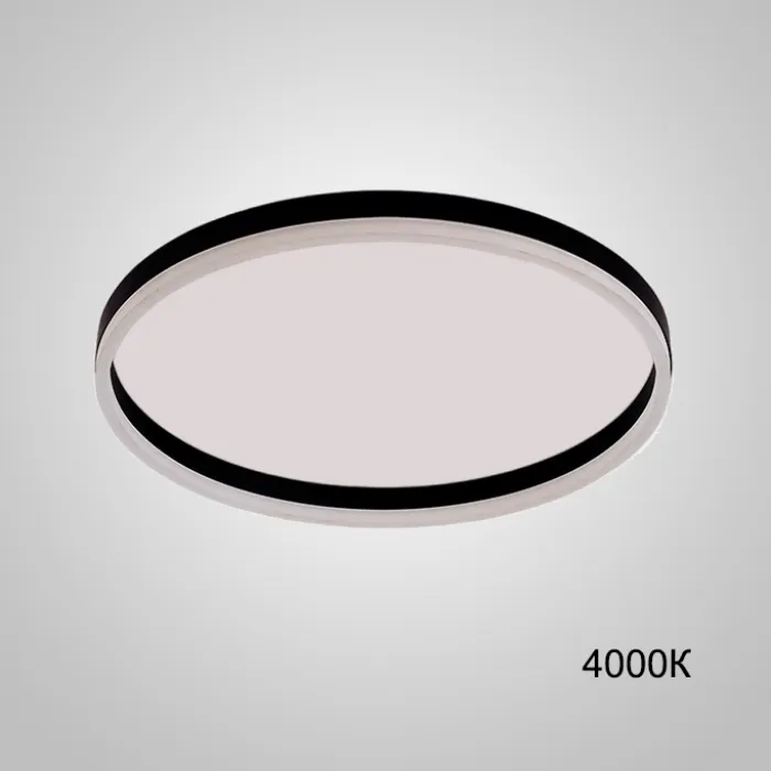 Потолочный светильник MONET D60 Black 4000К от ImperiumLoft