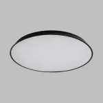 Потолочный светильник TERRA D42 Black