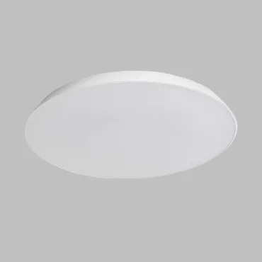 Потолочный светильник TERRA D42 White от ImperiumLoft
