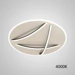 Потолочный светильник HAFTOR D50 Black 4000К