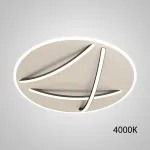 Потолочный светильник HAFTOR D60 Black 4000К