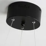 Подвесной светильник EWALD D42 Black