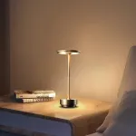 Настольная лампа ROBBI Black от ImperiumLoft