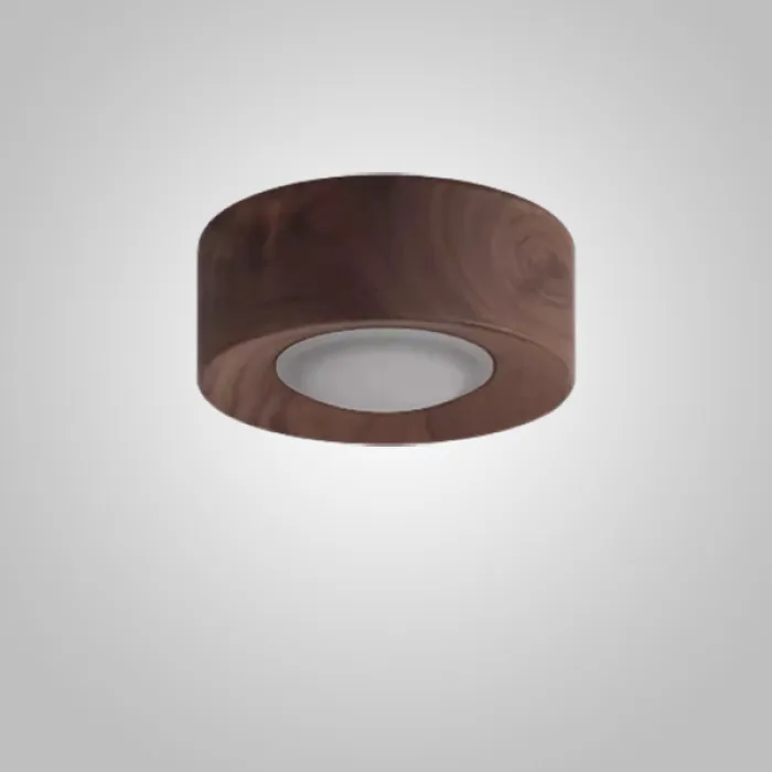 Точечный светильник WOODSPOT DARK Встраиваемый от ImperiumLoft