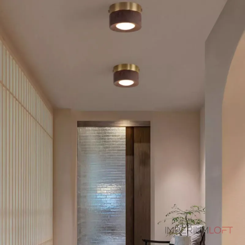 Точечный светильник WOODSPOT DARK Накладной