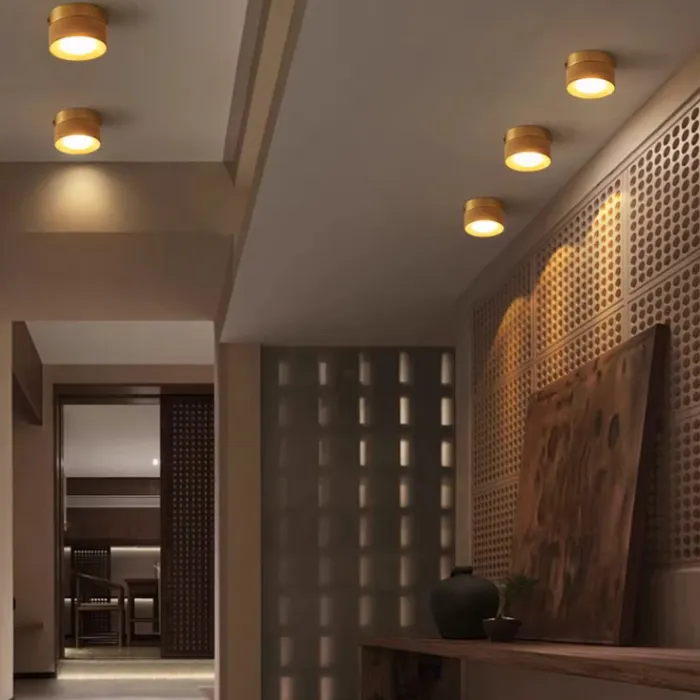 Точечный светильник WOODSPOT LIGHT Встраиваемый от ImperiumLoft