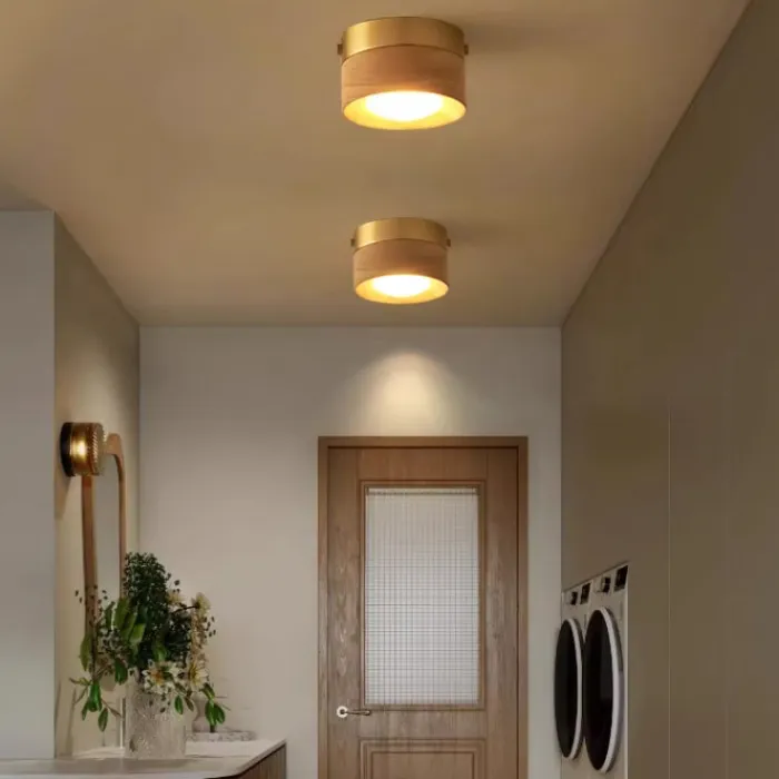 Точечный светильник WOODSPOT LIGHT Встраиваемый от ImperiumLoft