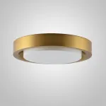 Потолочный светильник BUTTON GOLD D28 от ImperiumLoft