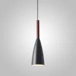 Подвесной светильник DALBY Black от ImperiumLoft