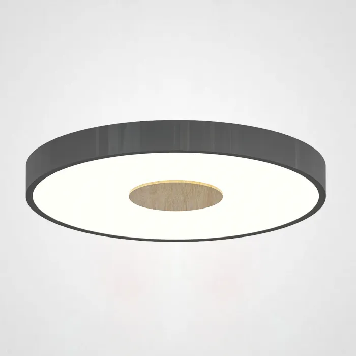 Потолочный светильник CENTRUM D30 Black от ImperiumLoft