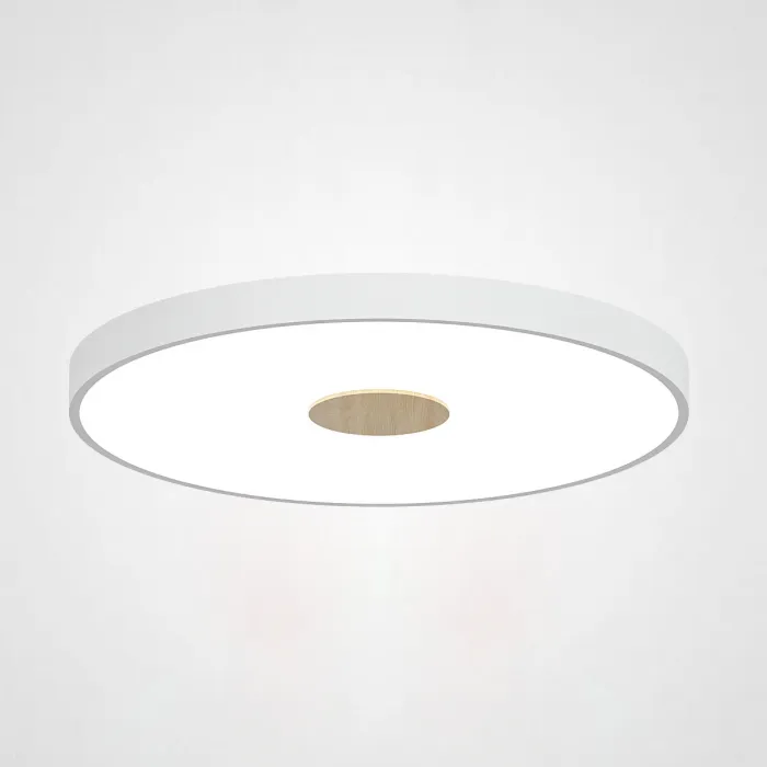 Потолочный светильник CENTRUM D40 White от ImperiumLoft