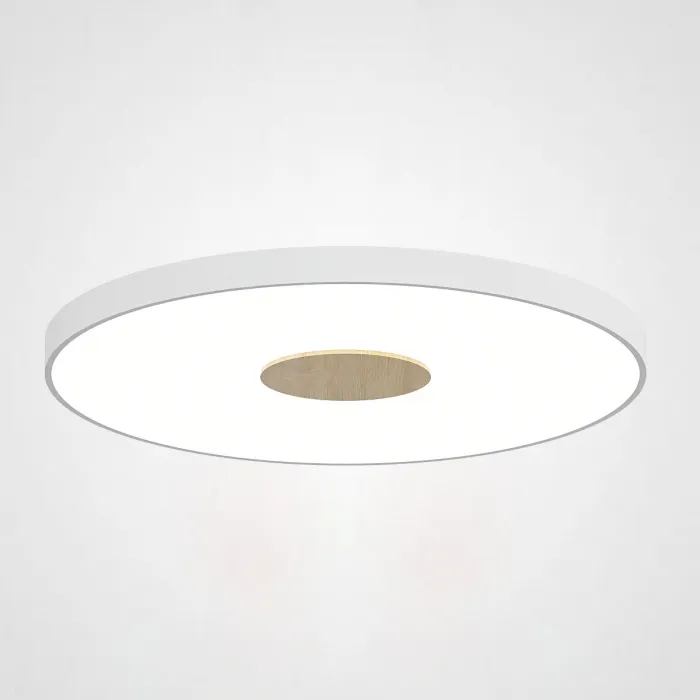 Потолочный светильник CENTRUM D50 White от ImperiumLoft