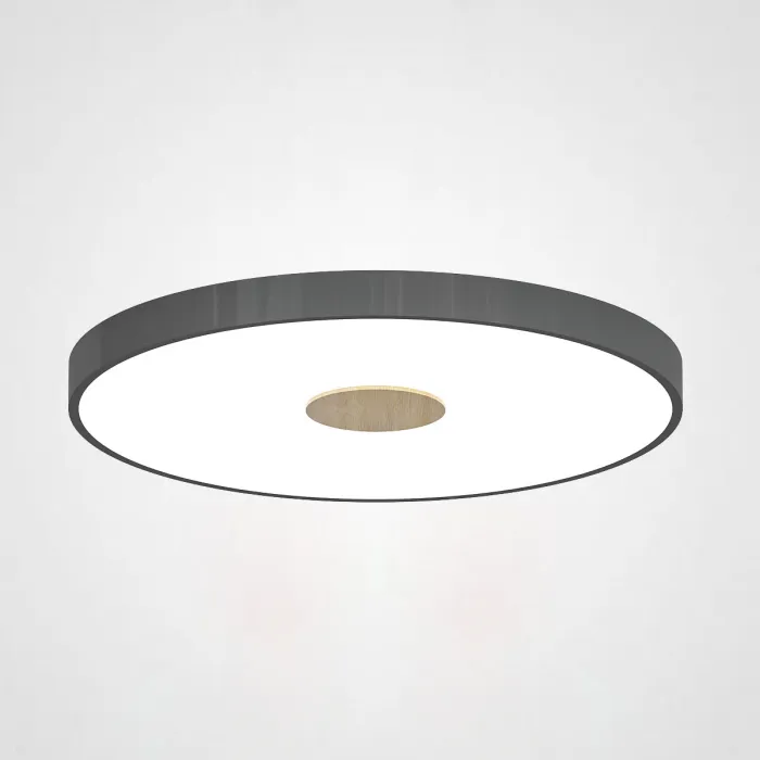 Потолочный светильник CENTRUM D40 Black от ImperiumLoft