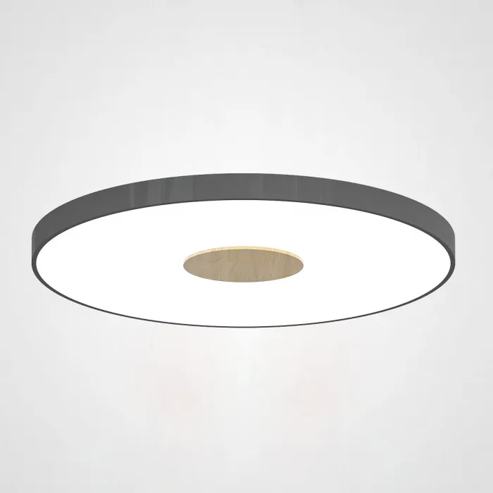Потолочный светильник CENTRUM D50 Black от ImperiumLoft