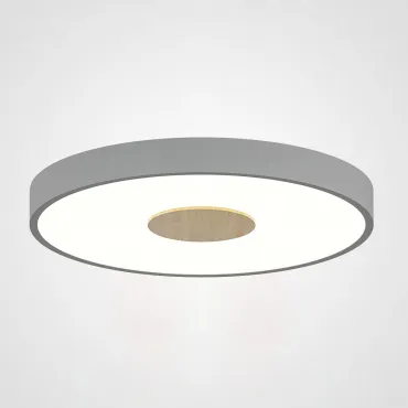 Потолочный светильник CENTRUM D30 Grey
