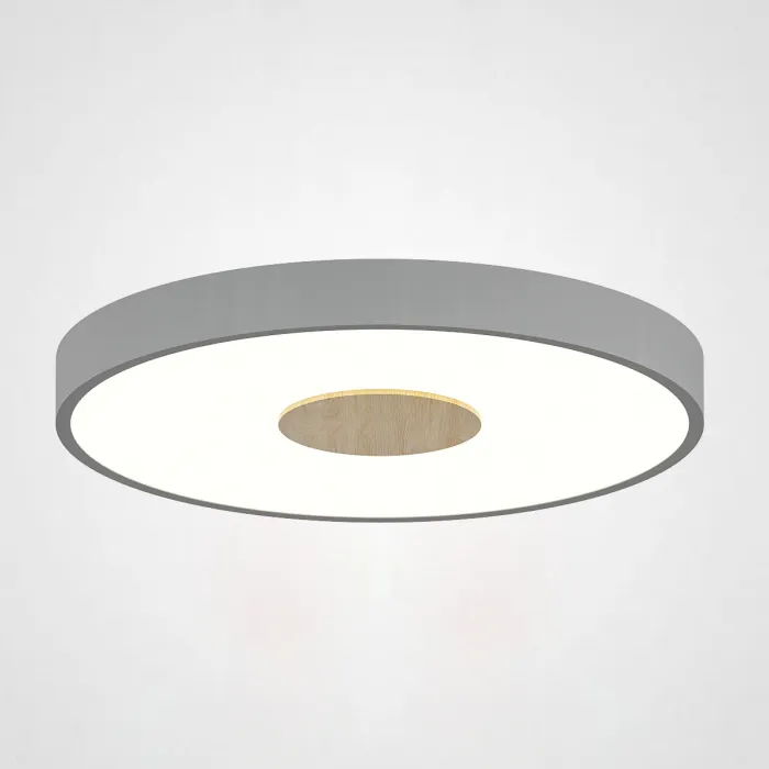 Потолочный светильник CENTRUM D30 Grey от ImperiumLoft