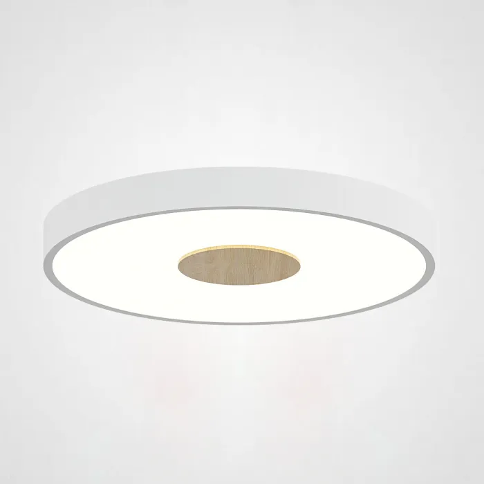 Потолочный светильник CENTRUM D30 White от ImperiumLoft