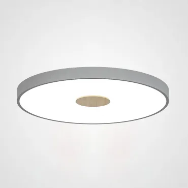 Потолочный светильник CENTRUM D40 Grey