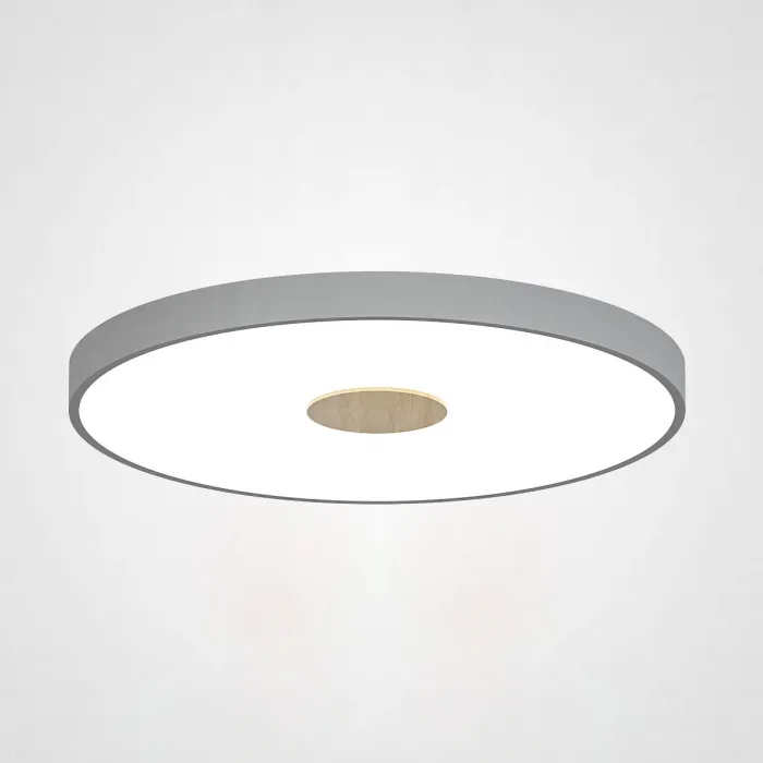 Потолочный светильник CENTRUM D40 Grey от ImperiumLoft
