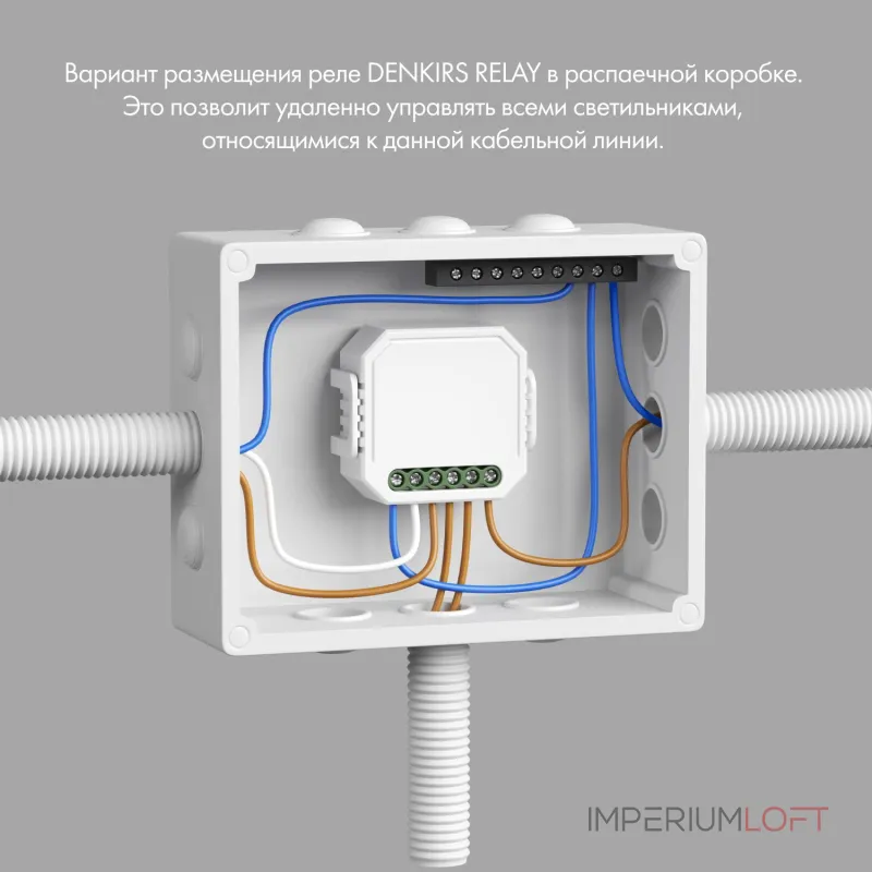 Контроллер-диммер Wi-Fi для смартфонов и планшетов Denkirs Relay RL1003-DM/1