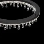 Кольцевые люстры и светильники ANDRUS D80