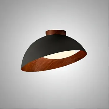 Потолочный светильник EDVIN Black