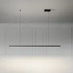 Подвесной светильник LANHU LONG Black L120 лаконичного дизайна 