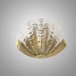 Настенный светильник Glass Shell Clear в форме ракушки