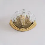 Настенный светильник Glass Shell Clear в форме ракушки