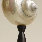 Декоративная настольная лампа Glowshell M с плафоном из ракушки от Vinsa