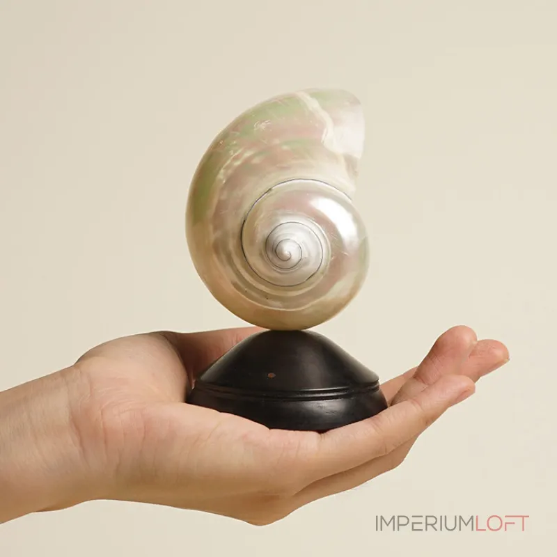 Декоративная настольная лампа Glowshell Mini с плафоном из ракушки от Vinsa Декоративная настольная лампа Glowshell Mini с плафоном из ракушки от Vinsa