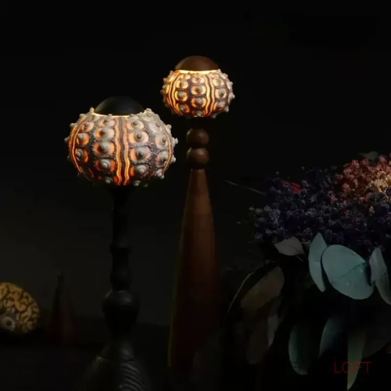 Декоративная настольная лампа Sea Urchin A с плафоном из ракушки от Vinsa