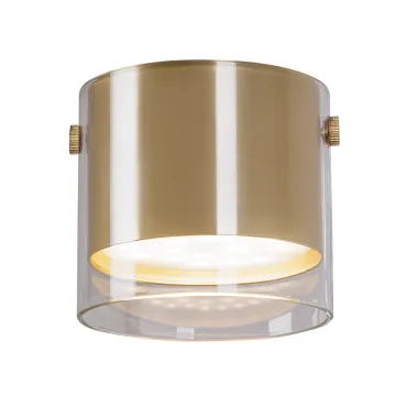 Светильник потолочный ARTE LAMP LAZIO A5366PL-1SG