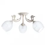 Светильник потолочный ARTE LAMP SOFIA A7060PL-3WG