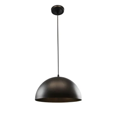 Подвесной светильник Arte Lamp CARMEL A7077SP-1BK