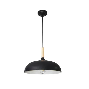 Подвесной светильник Arte Lamp KAYLA A7099SP-1BK
