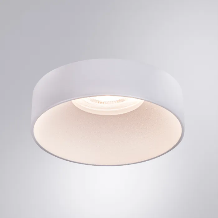 Светильник потолочный ARTE LAMP RAMO A1240PL-1WH от ImperiumLoft